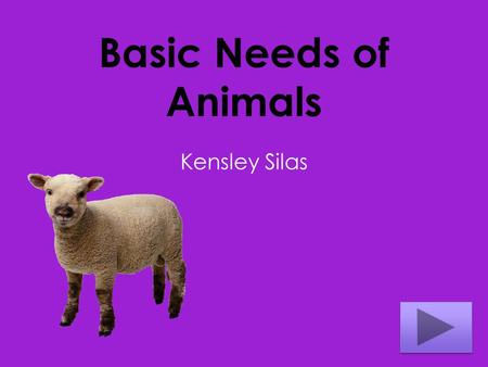 Basic Needs of Animals Kensley Silas.