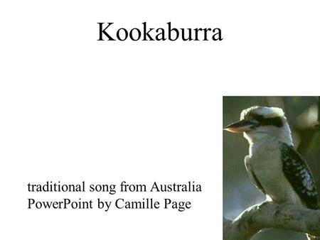 Kookaburra traditional song from Australia PowerPoint by Camille Page.
