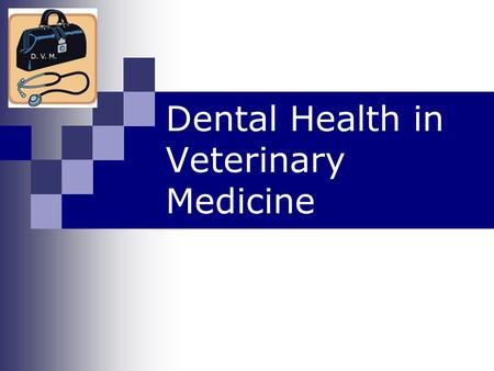 Dental Health in Veterinary Medicine What do animals use their teeth for? Chewing Catching prey Self defense.