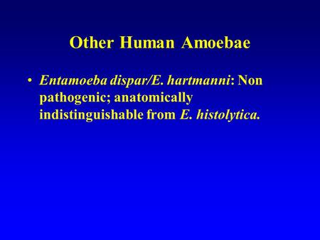Other Human Amoebae Entamoeba dispar/E. hartmanni: Non pathogenic; anatomically indistinguishable from E. histolytica.