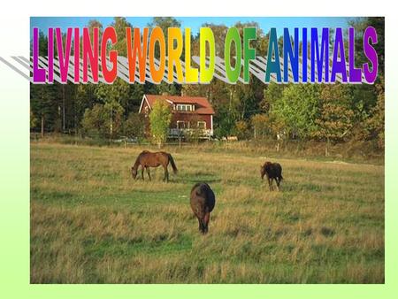 LIVING WORLD OF ANIMALS