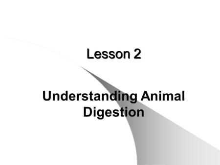 Understanding Animal Digestion