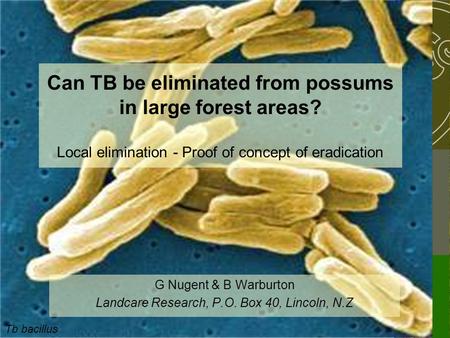 Tb bacillus Can TB be eliminated from possums in large forest areas? Local elimination - Proof of concept of eradication G Nugent & B Warburton Landcare.