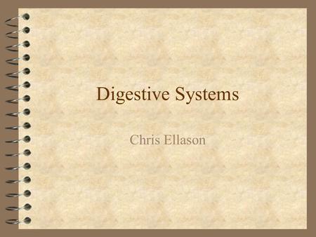 Digestive Systems Chris Ellason. Digestion and Absorption: 4 The process of digestion includes: –The prehension of food or feed –The mechanical chewing.