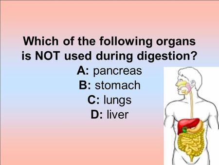 Which of the following organs is NOT used during digestion