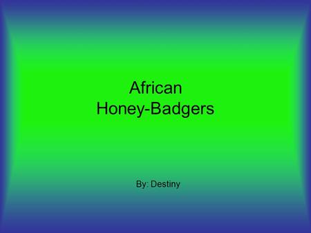 African Honey-Badgers By: Destiny. Habitat Lives in holes that a bear can fit in Live in the grasslands and forests.