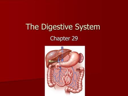 The Digestive System Chapter 29 Think about sliding a warm, tasty slice of cheese pizza into your mouth. You take a bite, chew, and swallow. You probably.