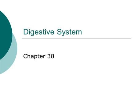 Digestive System Chapter 38. The Food Machine 1. How many eggs & cheese does a person consume in a lifetime? 2. What starts the process of digestion?