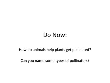 Do Now: How do animals help plants get pollinated? Can you name some types of pollinators?