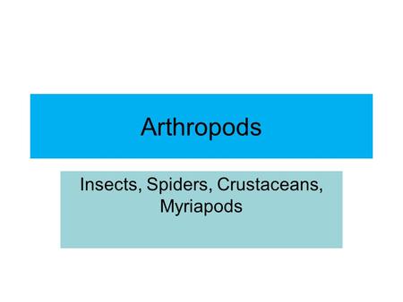 Arthropods Insects, Spiders, Crustaceans, Myriapods.