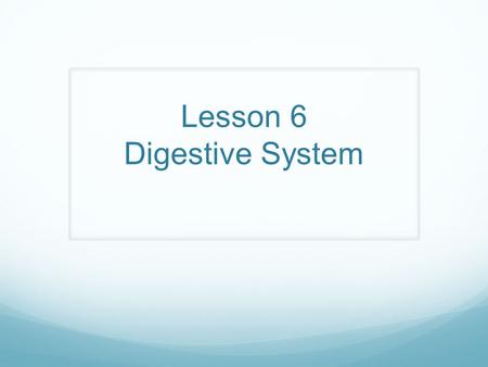 Lesson 6 Digestive System AIM : How does the digestive system work to maintain a stable and healthy body? Do Now: What are you doing?