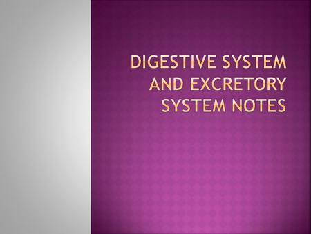  The Digestive System  What does the Digestive System do? Your Digestive system digests food to use as energy for your body  There are seven main organs.