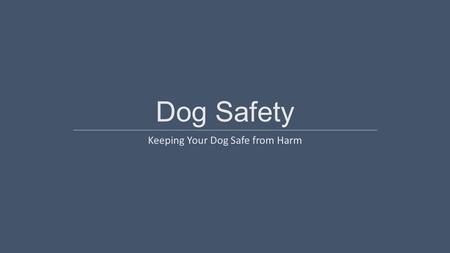 Dog Safety Keeping Your Dog Safe from Harm. Outdoor Safety  Use strong fencing  Protect your dog from extreme heat  Walk your dog early or late in.