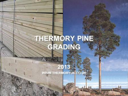 THERMORY PINE GRADING 2013 WWW.THERMORYUK.CO.UK.
