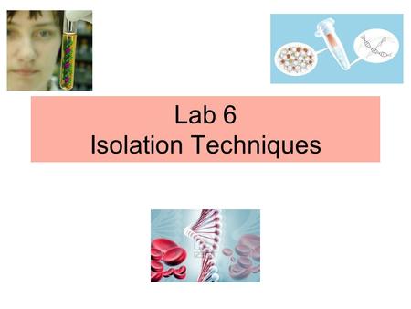 Lab 6 Isolation Techniques