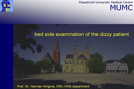 Bed side examination of the dizzy patient Herman Kingma, ORL-HNS department.