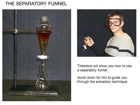 THE SEPARATORY FUNNEL Theodore will show you how to use a separatory funnel. Scroll down for him to guide you through the extraction technique.