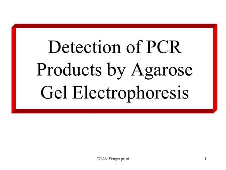 DNA-Fingerprint1 Detection of PCR Products by Agarose Gel Electrophoresis.