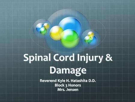 Spinal Cord Injury & Damage Reverend Kyle H. Hatashita D.D. Block 3 Honors Mrs. Jensen.