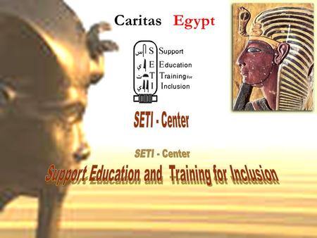 Caritas Egypt. (Cariats Egypt - SETI Center ) Prepared by Mr. Essam Franciss Community Based Rehabilitation Consultant SETI Center / Caritas Egypt.