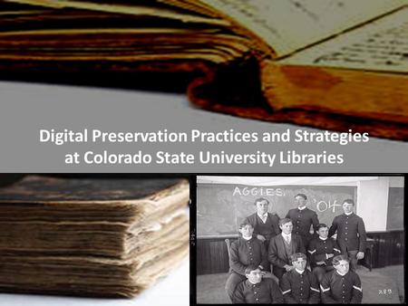 Digital Preservation Practices and Strategies at Colorado State University Libraries.