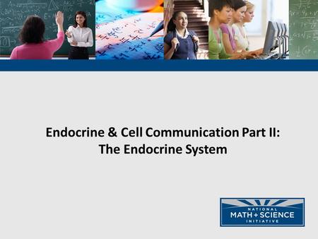 Endocrine & Cell Communication Part II: