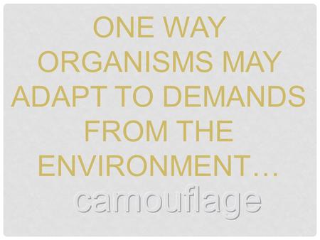 ONE WAY ORGANISMS MAY ADAPT TO DEMANDS FROM THE ENVIRONMENT…