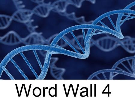 Word Wall 4. numerator- number at the top of a fraction; it is divided by the bottom number numerous– too many to count.