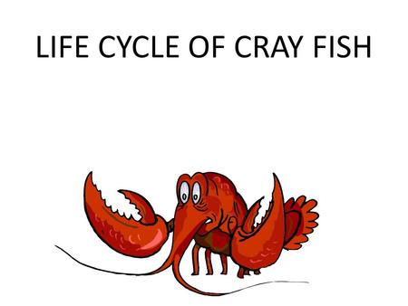 LIFE CYCLE OF CRAY FISH.