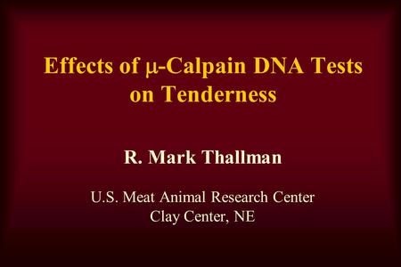 Effects of  -Calpain DNA Tests on Tenderness R. Mark Thallman U.S. Meat Animal Research Center Clay Center, NE.