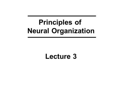Principles of Neural Organization Lecture 3. KEYWORDS from Lecture 2 ACTION POTENTIALS 1 -- electrical stimulation (artificial depolarization) 2 -- spatial.