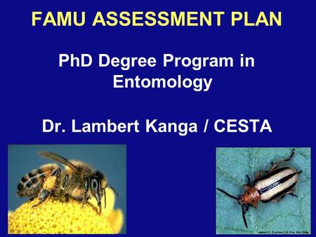 FAMU ASSESSMENT PLAN PhD Degree Program in Entomology Dr. Lambert Kanga / CESTA.