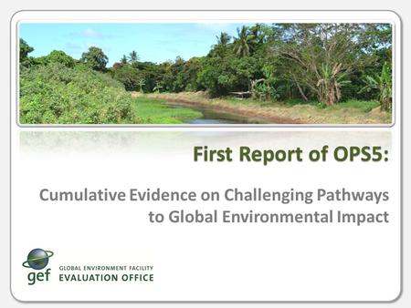 Cumulative Evidence on Challenging Pathways to Global Environmental Impact First Report of OPS5: