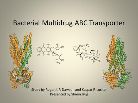 Bacterial Multidrug ABC Transporter Study by Roger J. P. Dawson and Kaspar P. Locher Presented by Shaun Hug.