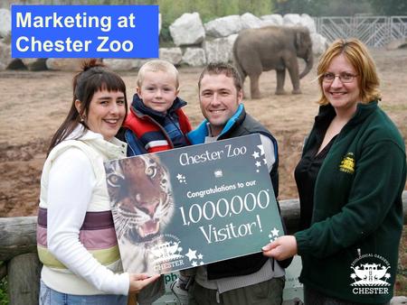 Marketing at Chester Zoo