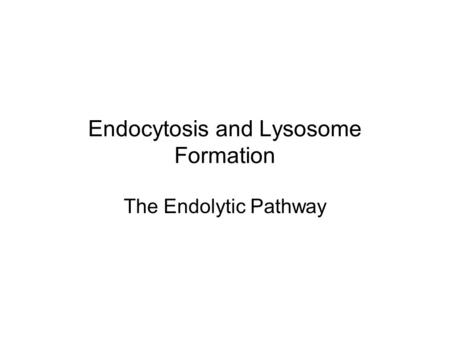 Endocytosis and Lysosome Formation The Endolytic Pathway.