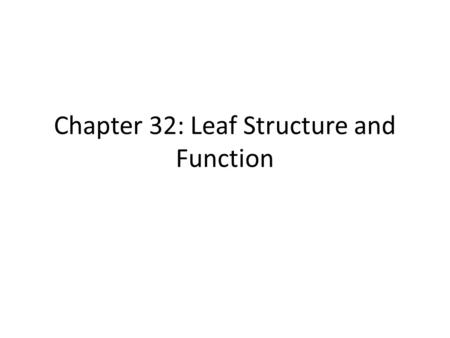 Chapter 32: Leaf Structure and Function