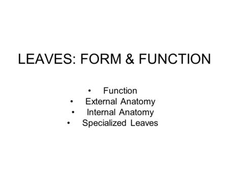 LEAVES: FORM & FUNCTION