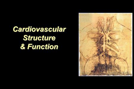 Cardiovascular Structure & Function Cardiovascular Structure & Function.