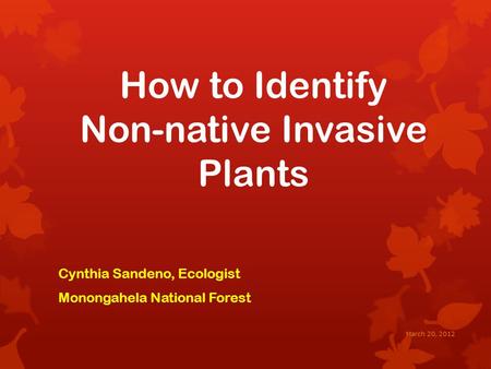 How to Identify Non-native Invasive Plants Cynthia Sandeno, Ecologist Monongahela National Forest March 20, 2012.