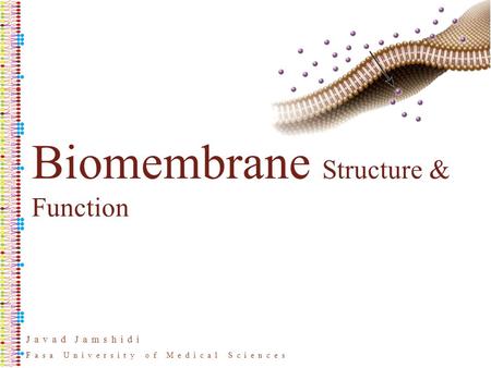 Javad Jamshidi Fasa University of Medical Sciences Biomembrane Structure & Function.