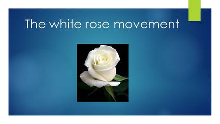 1 The white rose movement. 2 who started it  Hans Scholl  Sophie Scholl,  Christoph Probst.  Alexander Schmorell  They were students from the university.