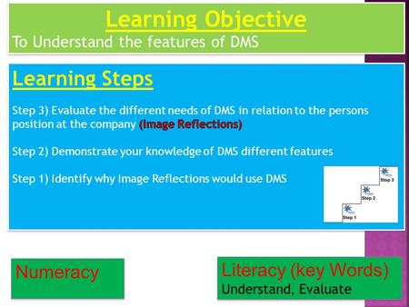 Numeracy Literacy (key Words) Understand, Evaluate Learning Objective To Understand the features of DMS Learning Objective To Understand the features of.