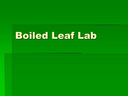 Boiled Leaf Lab. Preparation:  Cut 2 one inch square pieces of thick cardboard (like cereal box)  Clip the two pieces of cardboard to a leaf still growing.