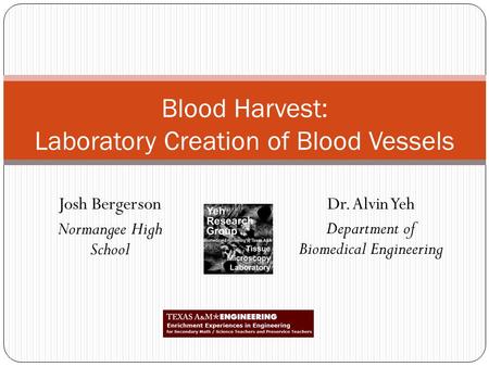 Dr. Alvin Yeh Department of Biomedical Engineering Blood Harvest: Laboratory Creation of Blood Vessels Josh Bergerson Normangee High School.