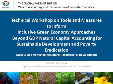 THE GLOBAL PARTNERSHIP ON Wealth Accounting and the Valuation of Ecosystem Services Technical Workshop on Tools and Measures to Inform Inclusive Green.