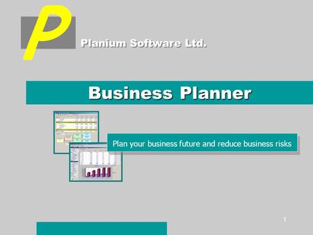 1 Business Planner Planium Software Ltd. Plan your business future and reduce business risks.