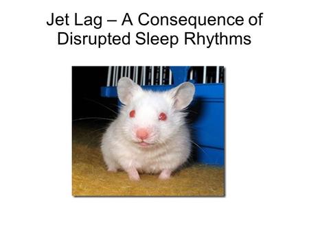 Jet Lag – A Consequence of Disrupted Sleep Rhythms.