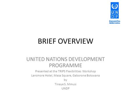 BRIEF OVERVIEW UNITED NATIONS DEVELOPMENT PROGRAMME Presented at the TRIPS Flexibilities Workshop Lansmore Hotel, Masa Square, Gaborone Botswana by Tinaye.