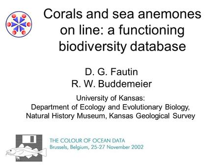 Corals and sea anemones on line: a functioning biodiversity database D. G. Fautin R. W. Buddemeier University of Kansas: Department of Ecology and Evolutionary.